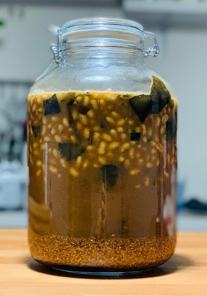 Salsa di soia a inizio fermentazione 